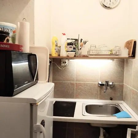 Next To The Temple Of Saint Sava Lejlighed *