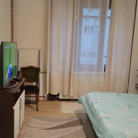 Next To The Temple Of Saint Sava Daire